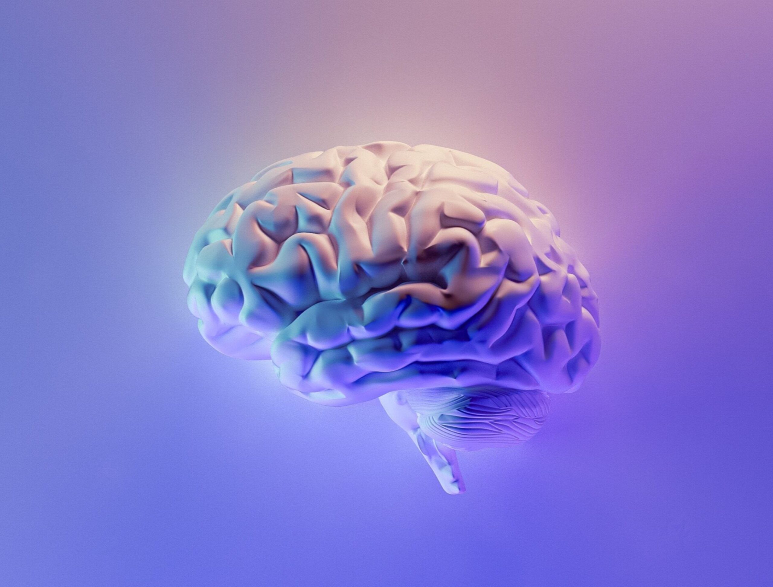 Brain Pumber